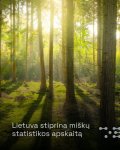 Gali būti medis ir tekstas vaizdas