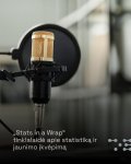 Gali būti muzikos instrumentas ir tekstas „T Stats in a Wrap&quot; tinklalaide apie statistiką ir jaunimo İkvépimą“ vaizdas