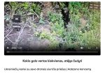 May be an image of pine marten and text that says 'ИK ISO Sateap 200 2001/50 1/50 WИPOK 0:00/1:51 1:51 0:00 Kokio galo vertas kiekvienas, atéjęs žudyti Ukrainiečiy kariai su savo dronais siunčia priešus Kobzono koncertą'
