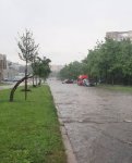 Gali būti žolė ir vandens telkinys vaizdas