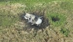 May be an image of grass