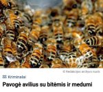Gali būti tekstas vaizdas
