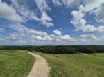 May be an image of horizon and grass