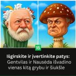 Gali būti tekstas vaizdas