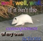 May be an image of ferret, rat and text that says 'well, well, well, if it isn't the consequences ofmy own actions'
