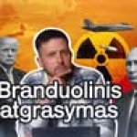 BEPROTIS, BRANDUOLINIAI GINKLAI IR NORTHWOOD DEKLARACIJA