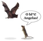 Gali būti šikšnosparnis ir tekstas „obl*! bl* ο Angelas!“ vaizdas